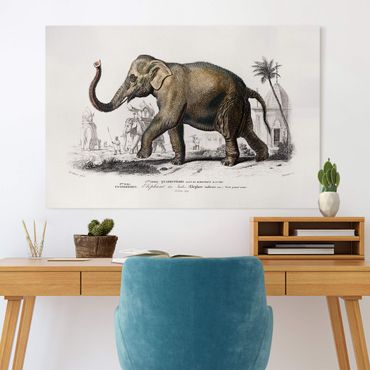 Impression sur toile - Vintage Board Elephant