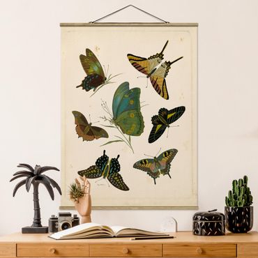 Tableau en tissu avec porte-affiche - Vintage Illustration Exotic Butterflies