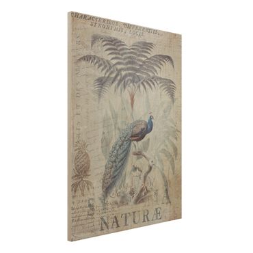 Impression sur bois - Shabby Chic Collage - Peacock