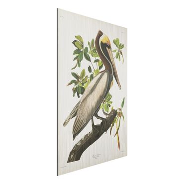 Impression sur aluminium - Vintage Board Brown Pelican