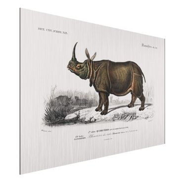 Impression sur aluminium - Vintage Board Rhino