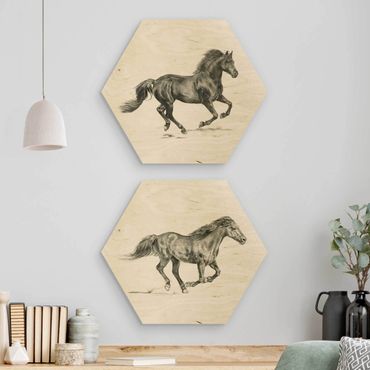 Hexagone en bois - Wild Horse Study Set I