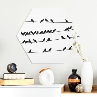 Hexagone en forex - Flock Of Birds
