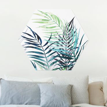 Hexagone en forex - Exotic Foliage - Palme