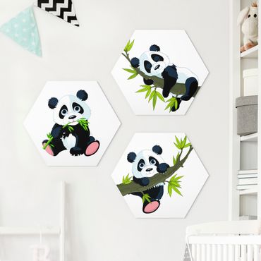 Hexagone en forex - Panda set
