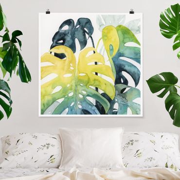 Poster - Tropical Foliage - Monstera