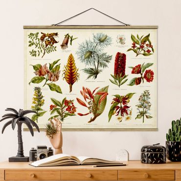 Tableau en tissu avec porte-affiche - Vintage Board Tropical Botany I