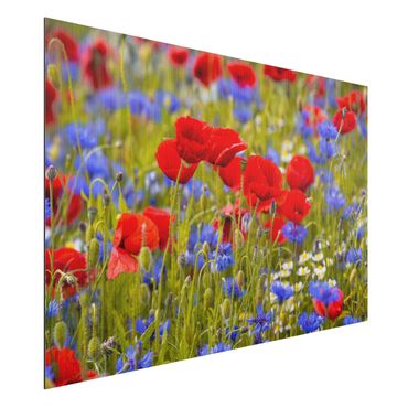 Impression sur aluminium - Summer Meadow With Poppies And Cornflowers