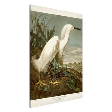 Tableau magnétique - Vintage Board White Heron I