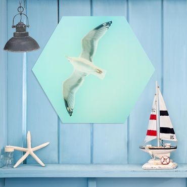 Hexagon Picture Forex - Blue Sky With Seagull