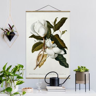 Tableau en tissu avec porte-affiche - Georg Dionysius Ehret - Magnolia