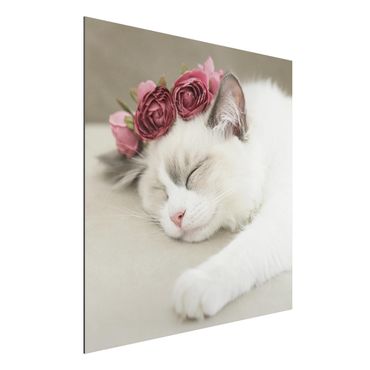 Tableau sur aluminium - Sleeping Cat with Roses