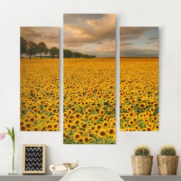 Impression sur toile 3 parties - Field With Sunflowers