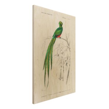Impression sur bois - Vintage Board Tropical Bird I