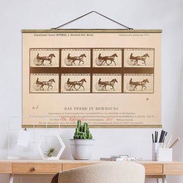 Tableau en tissu avec porte-affiche - Eadweard Muybridge - The horse in Motion