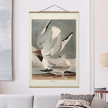 Tableau en tissu avec porte-affiche - Vintage Board Bonaparte Gull
