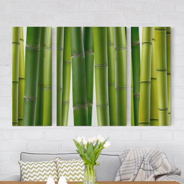 Impression sur toile 3 parties - Bamboo Plants