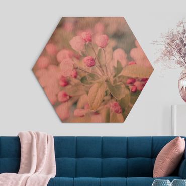 Hexagone en alu Dibond - Apple Blossom Bokeh Light Pink