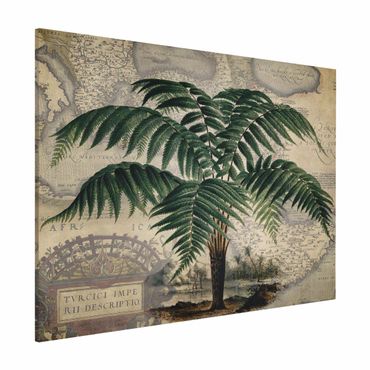 Tableau magnétique - Vintage Collage - Palm And World Map