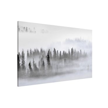 Tableau magnétique - Fog In The Fir Forest Black And White