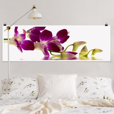 Poster fleurs - Pink Orchid Waters