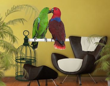 Sticker mural - No.645 Parrots In Love