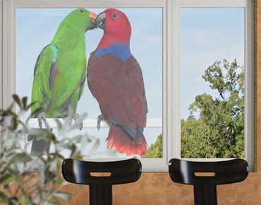 Sticker pour fenêtres - Parrots In Love