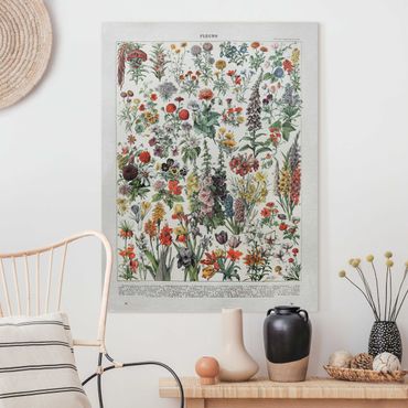 Impression sur toile - Vintage Board Flowers IV