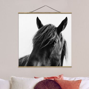 Tableau en tissu avec porte-affiche - Curious Horse