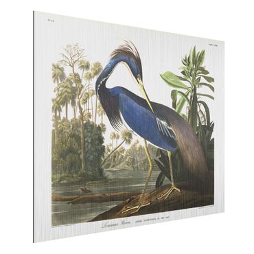 Impression sur aluminium - Vintage Board Louisiana Heron