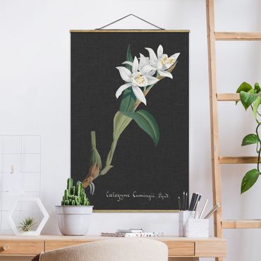 Tableau en tissu avec porte-affiche - White Orchid On Linen II