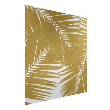Tableau sur aluminium - View Through Golden Palm Leaves