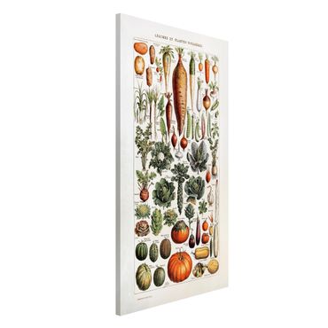 Tableau magnétique - Vintage Board Vegetables