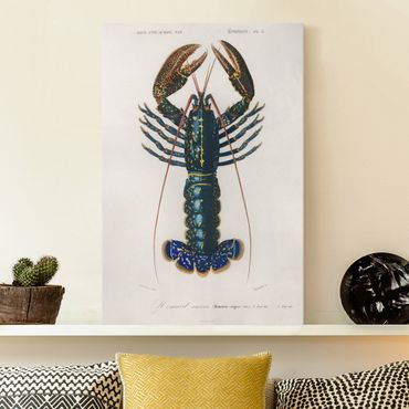 Impression sur toile - Vintage Board Blue Lobster