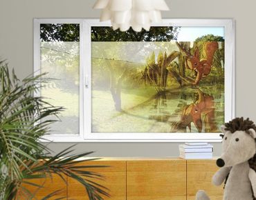 Décoration pour fenêtres - Reflection Of Squirricorn