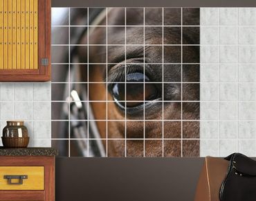 Sticker pour carrelage - Horse Eye