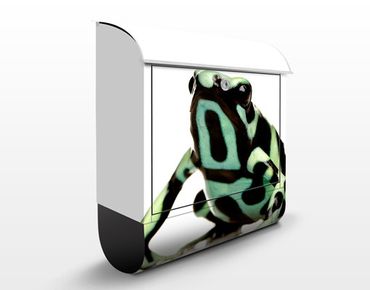 Boite aux lettres - Zebra Frog