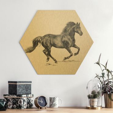 Hexagone en alu Dibond - Wild Horse Trial - Stallion