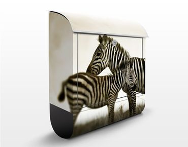 Boite aux lettres - Zebra Couple