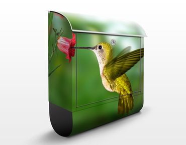 Boite aux lettres - Hummingbird And Flower