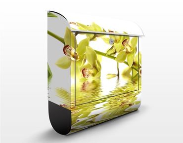 Boite aux lettres - Elegant Orchid Waters