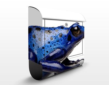 Boite aux lettres - Exotic Frog