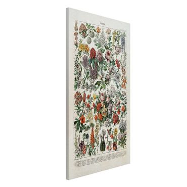 Tableau magnétique - Vintage Board Flowers II