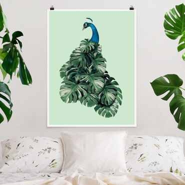 Poster animaux - Peacock With Monstera Leaves