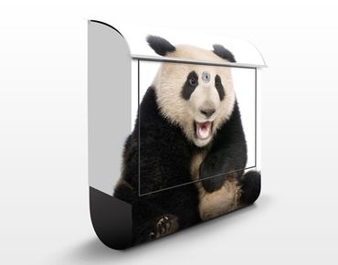 Boite aux lettres - Laughing Panda