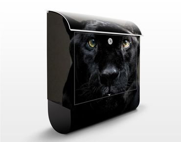 Boite aux lettres - Black Puma