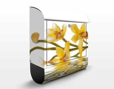 Boite aux lettres - Saffron Orchid Waters