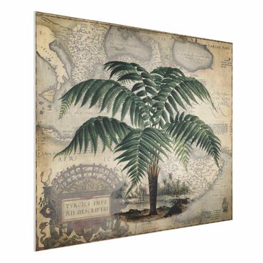Impression sur forex - Vintage Collage - Palm And World Map