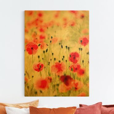 Tableau sur toile or - Summer Poppies