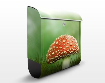 Boite aux lettres - Fly Agaric